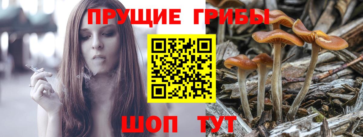 Галлюциногенные грибы GOLDEN TEACHER Костомукша