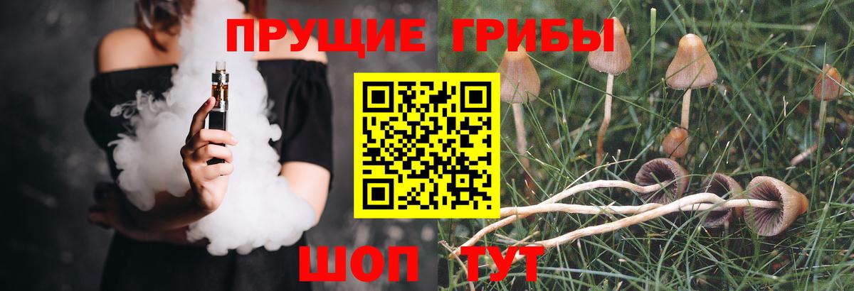 Костомукша  закладка  Вход с VPN  Галлюциногенные грибы Magic Shrooms 